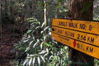 Hinweisschild auf den Jungle Walks in den Cameron Highlands